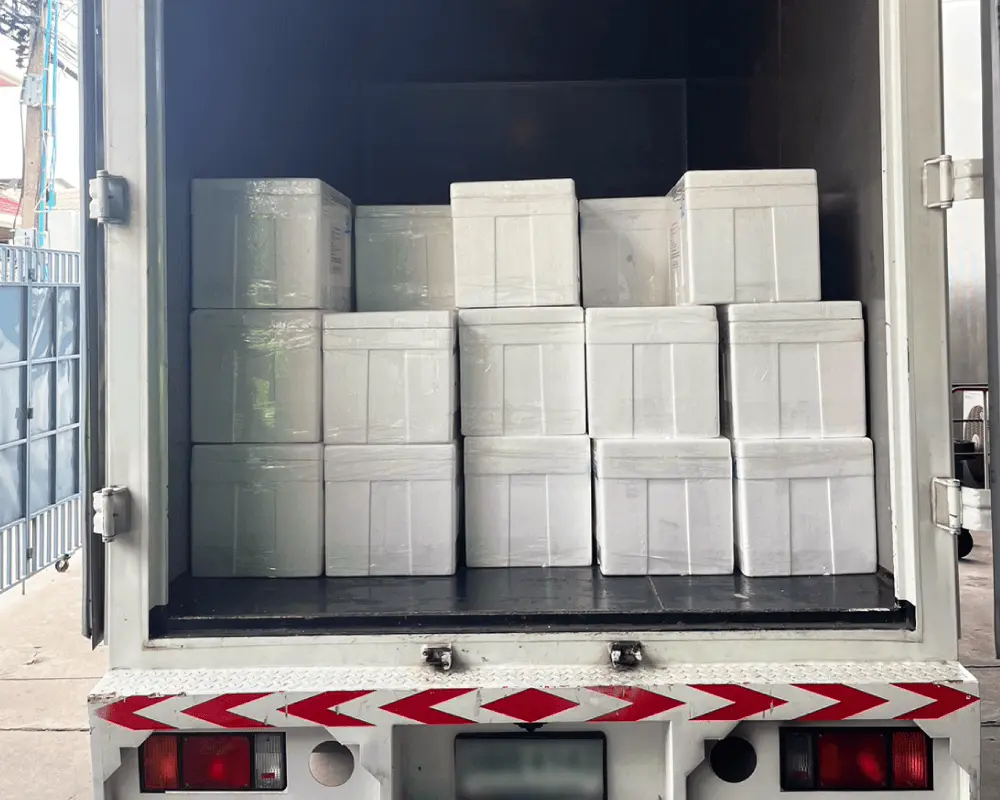 Distributor Frozen Food Tulungagung - Proses Pengiriman Cold Storage