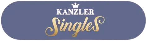 Distributor Frozen Food Tulungagung - Logo Fiesta